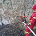 Volcán de Agua: regenerar el bosque tomará más de 10 años