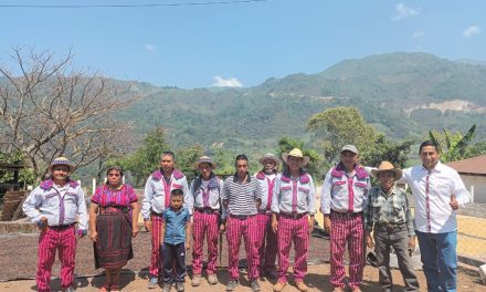 Productores de café se organizan para enfrentar al cambio climático 